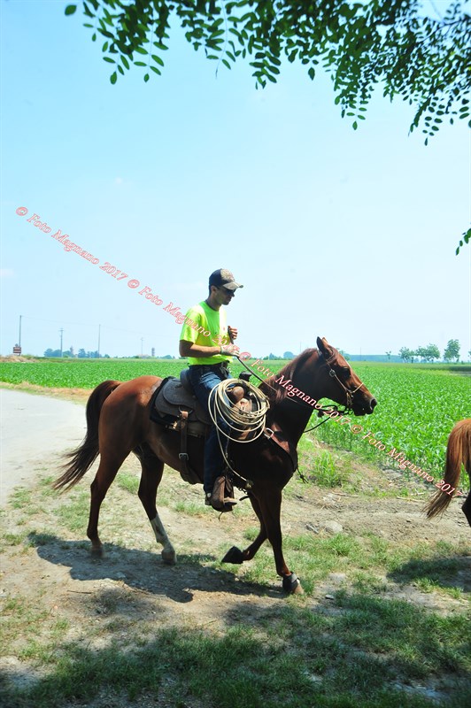 DSC_1076.JPG